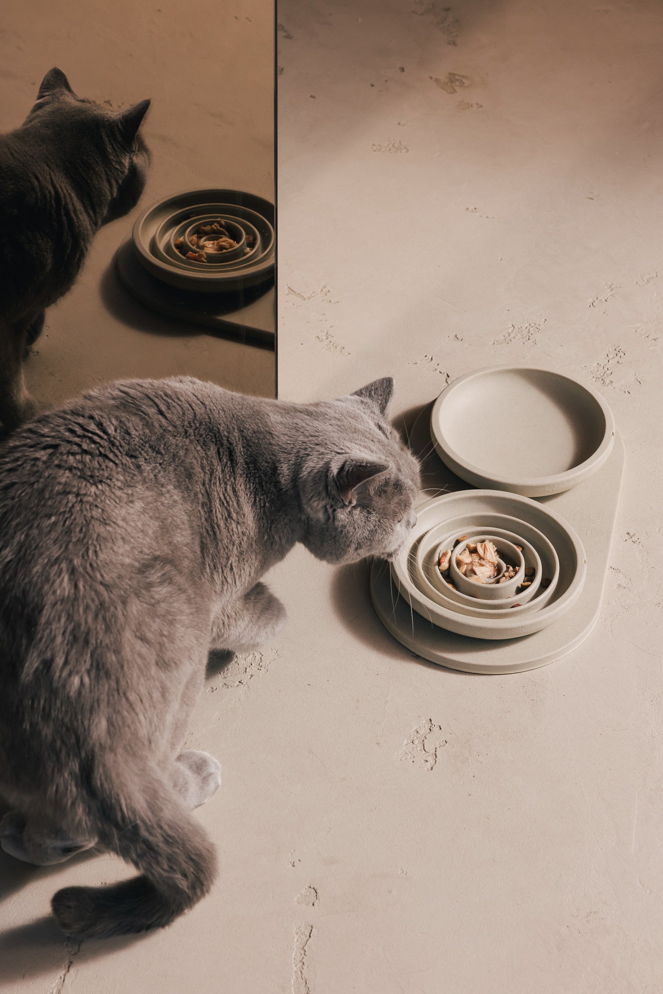 Slow Feeder Bowl for Cats