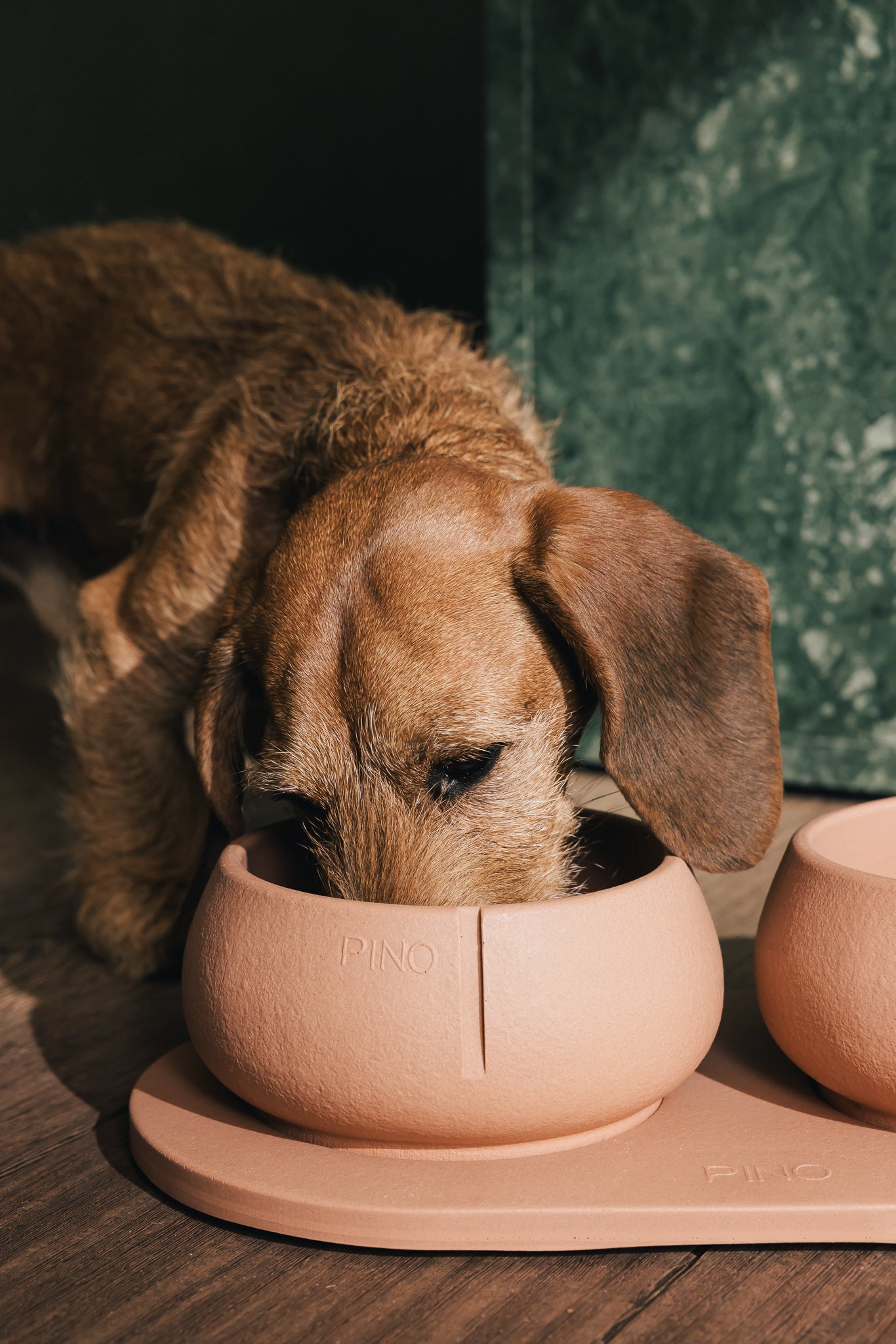 Long Ears Bowl