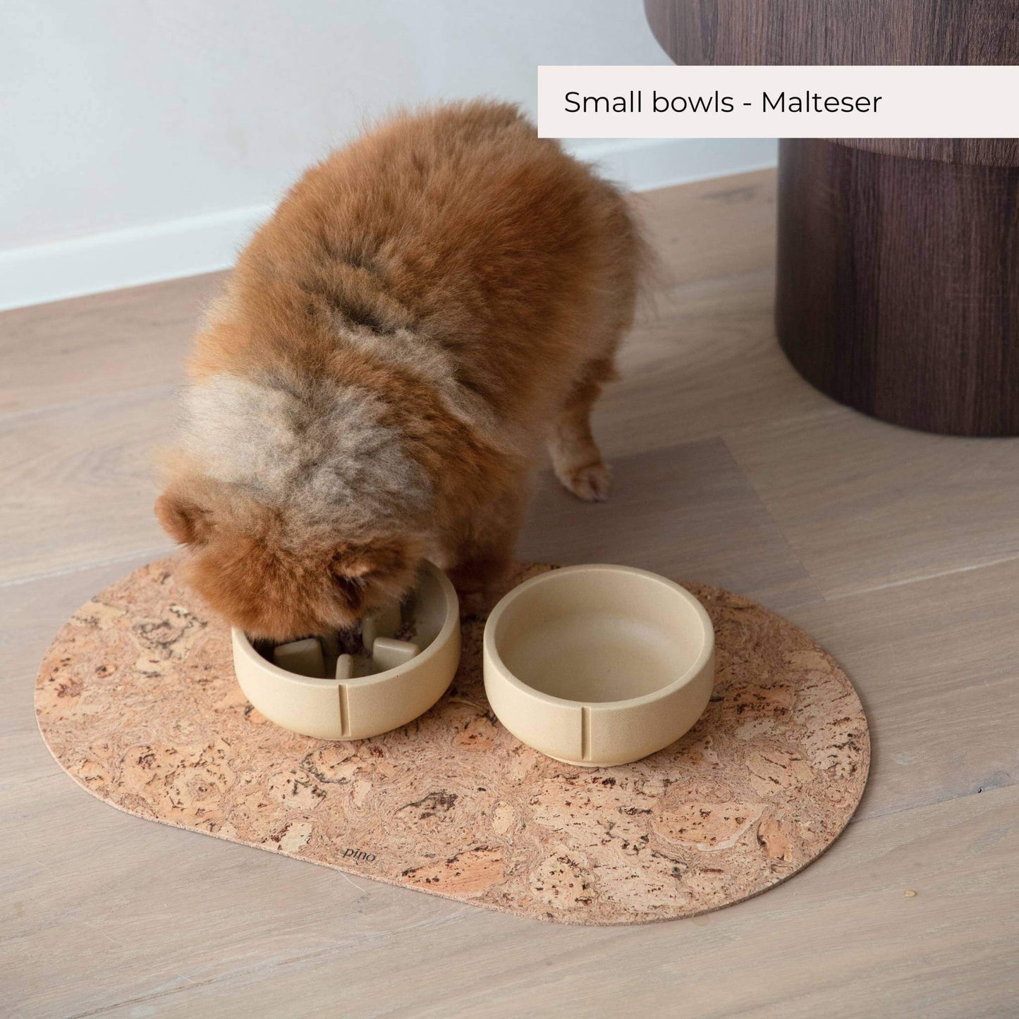 Two small bowls, one classic feeder and one classic feeder. A small dog eats out of it.