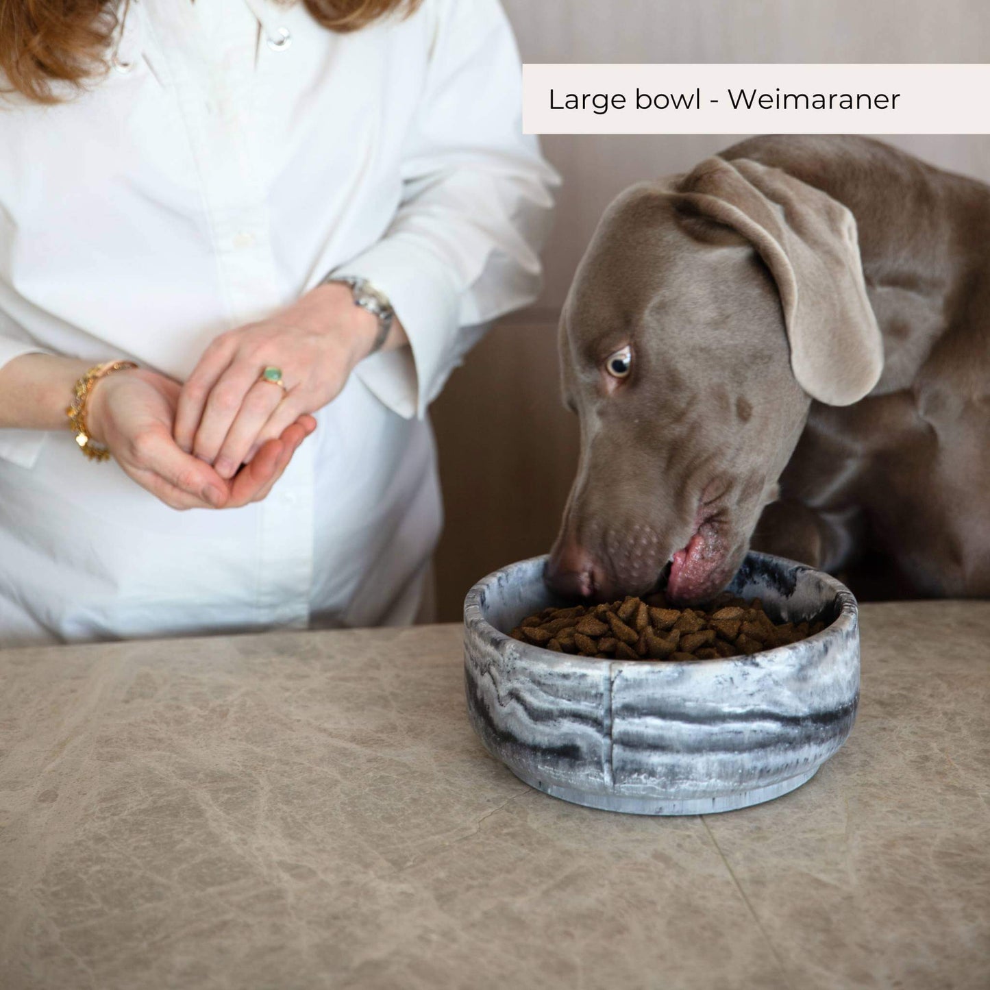 A large bowl with a dog eating out of it.