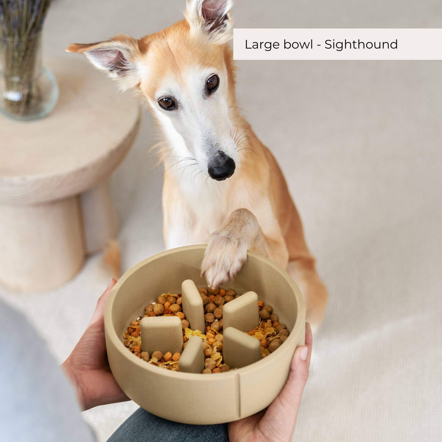 Anti Schrok Voerbak Hond