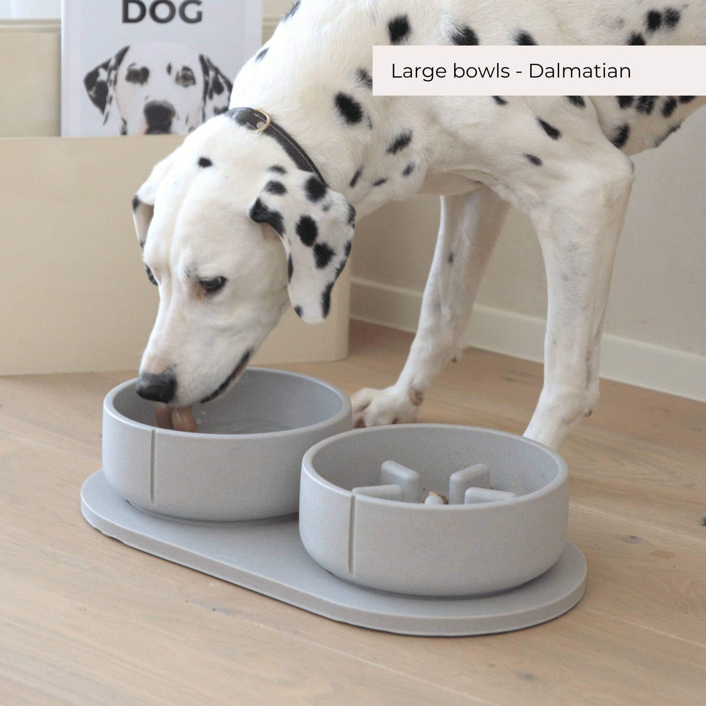Anti Schrok Voerbak Hond