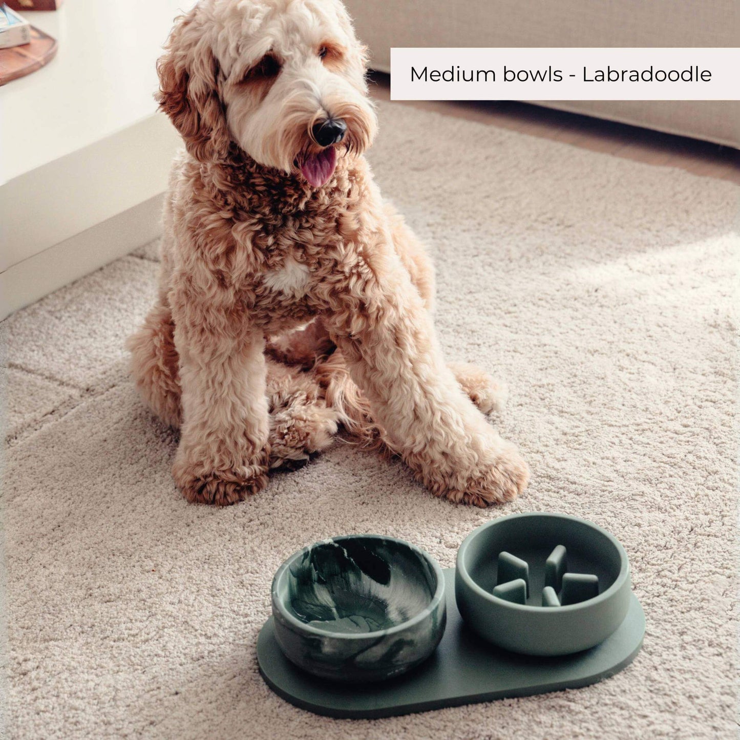 Anti Schrok Voerbak Hond