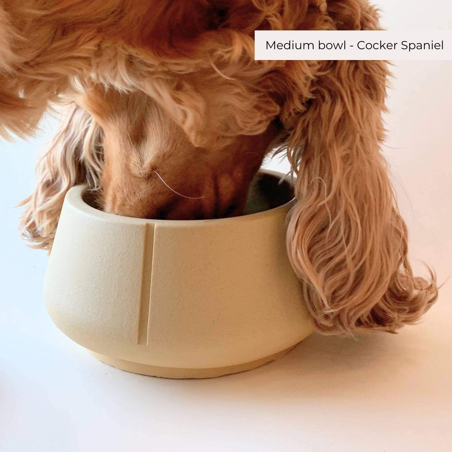 Lange Oren Voer- en Drinkbak Hond