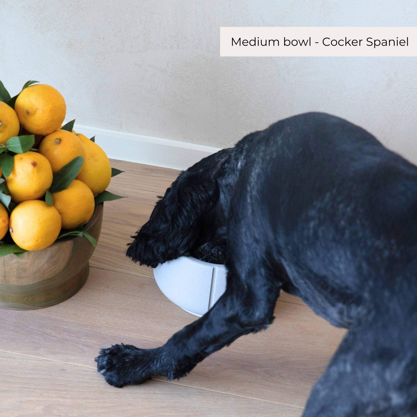 Lange Oren Voer- en Drinkbak Hond