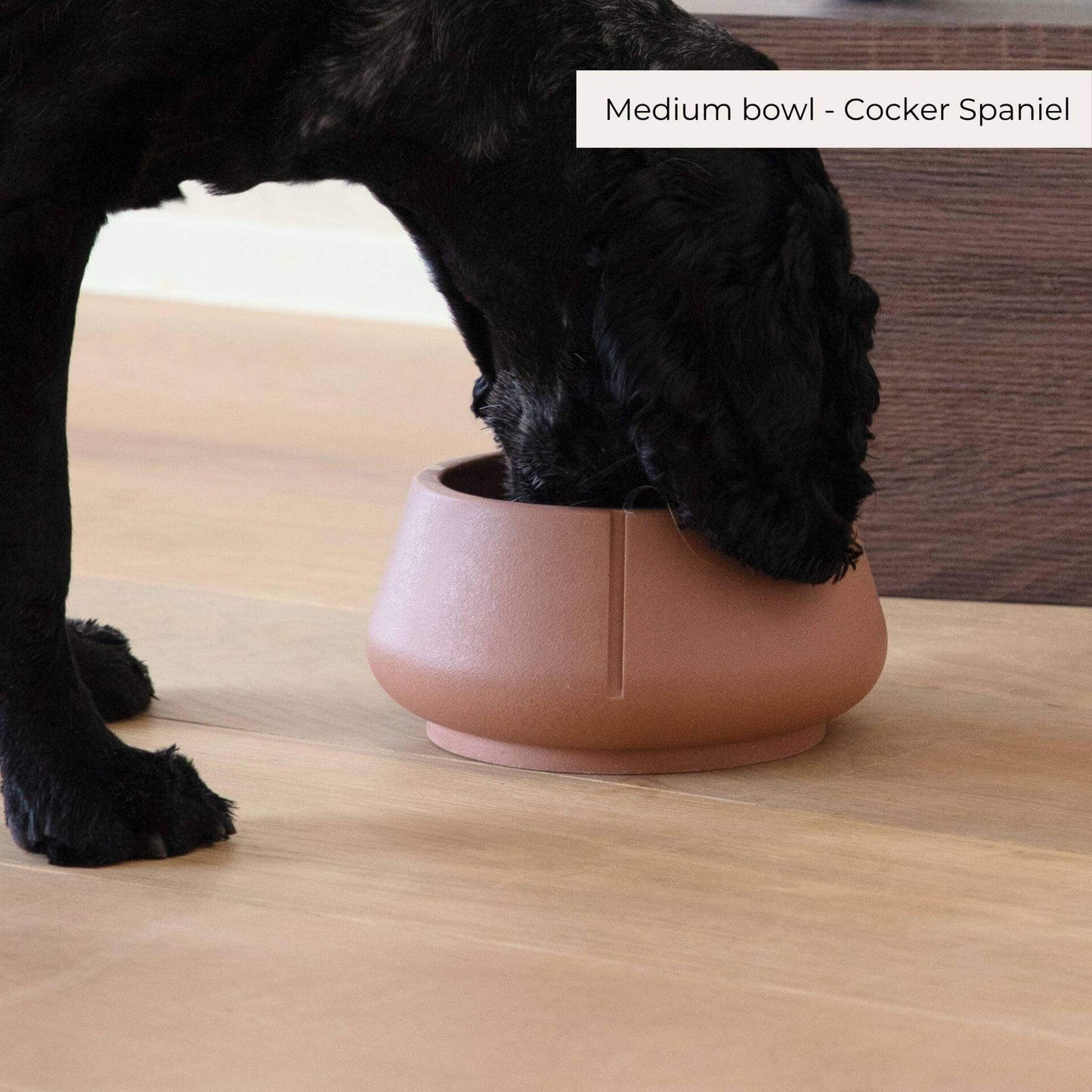 Lange Oren Voer- en Drinkbak Hond