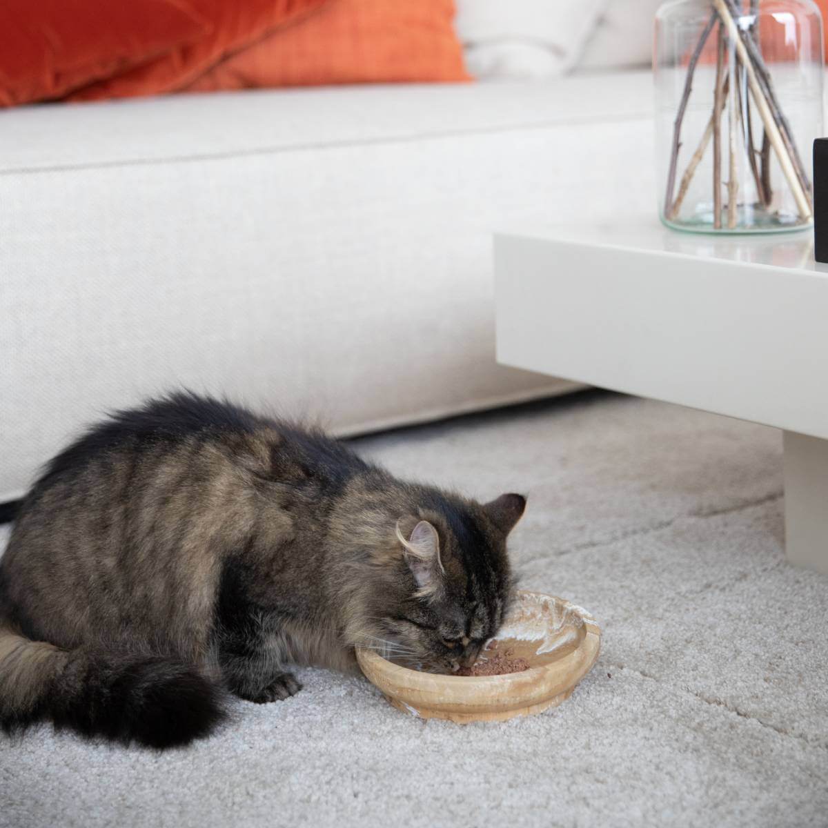 a cat eating out of the camel brown marble bowl