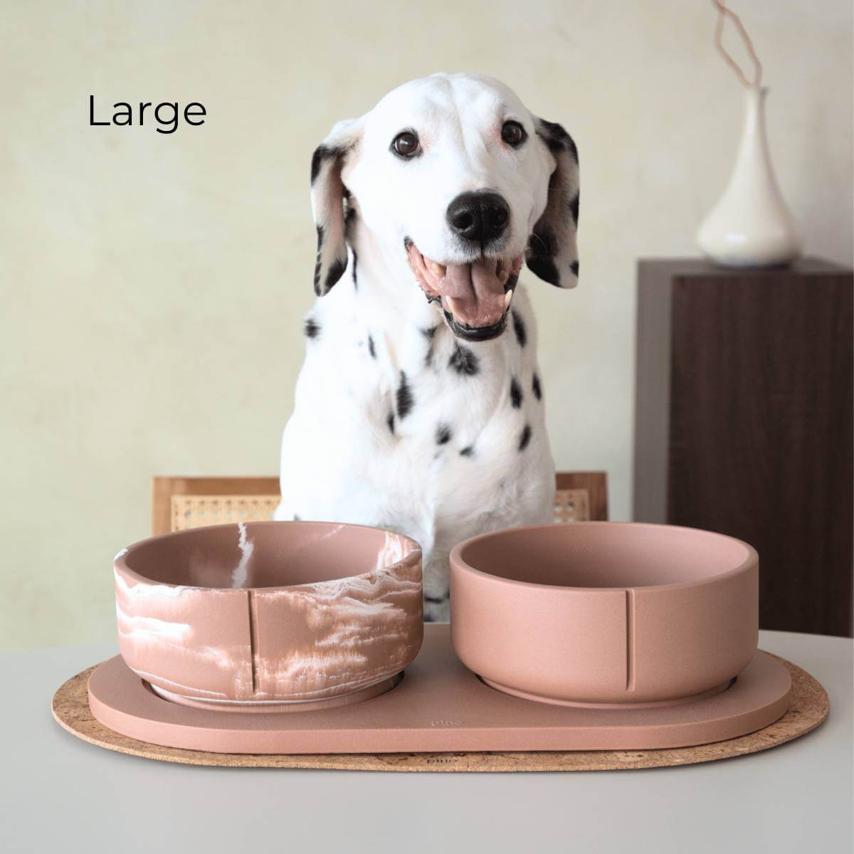 A dog sitting behind a large foxy terra tray