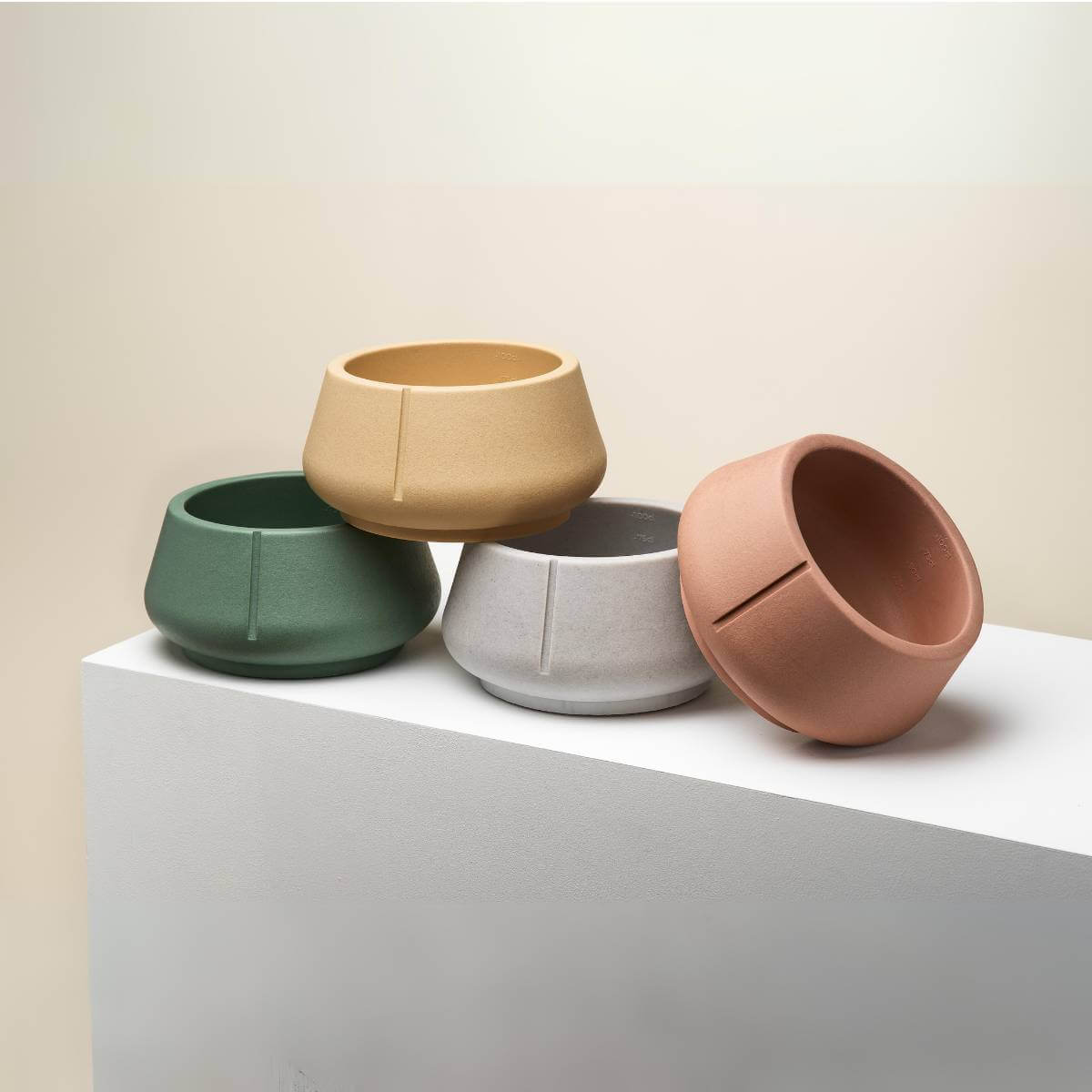 All the long ears bowl togheter