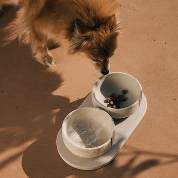 For Dogs