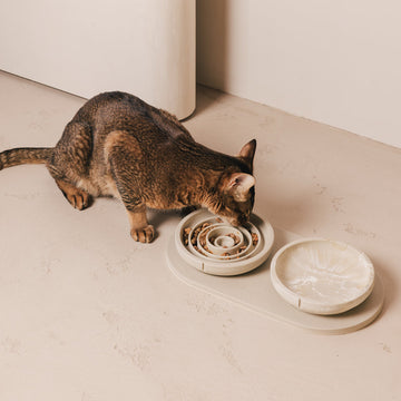 For Cats