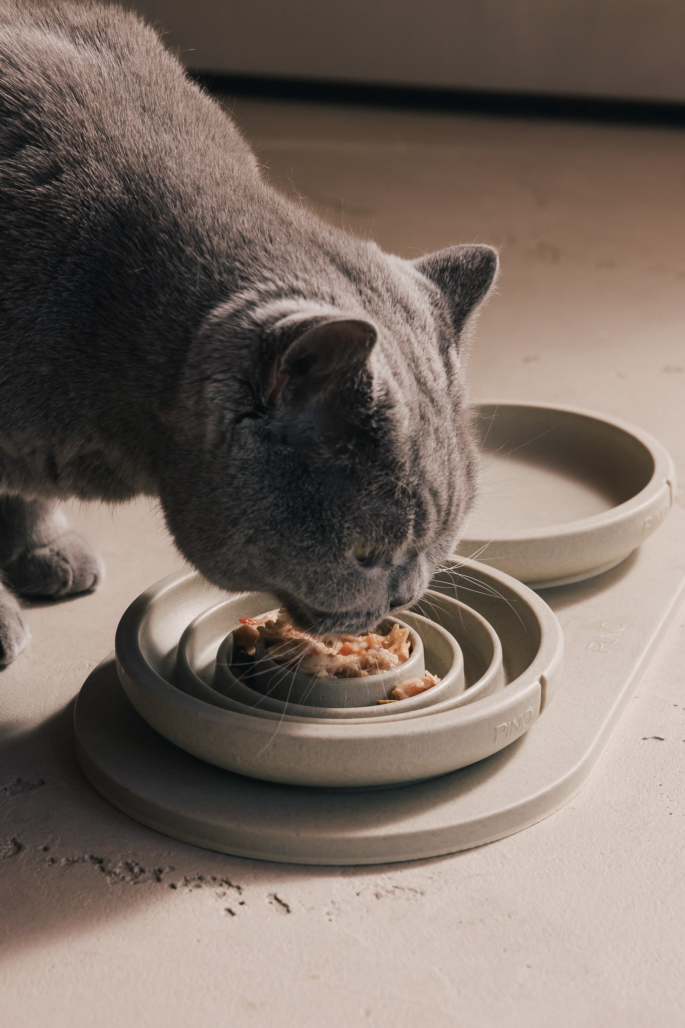 Slow Feeder Bowl for Cats