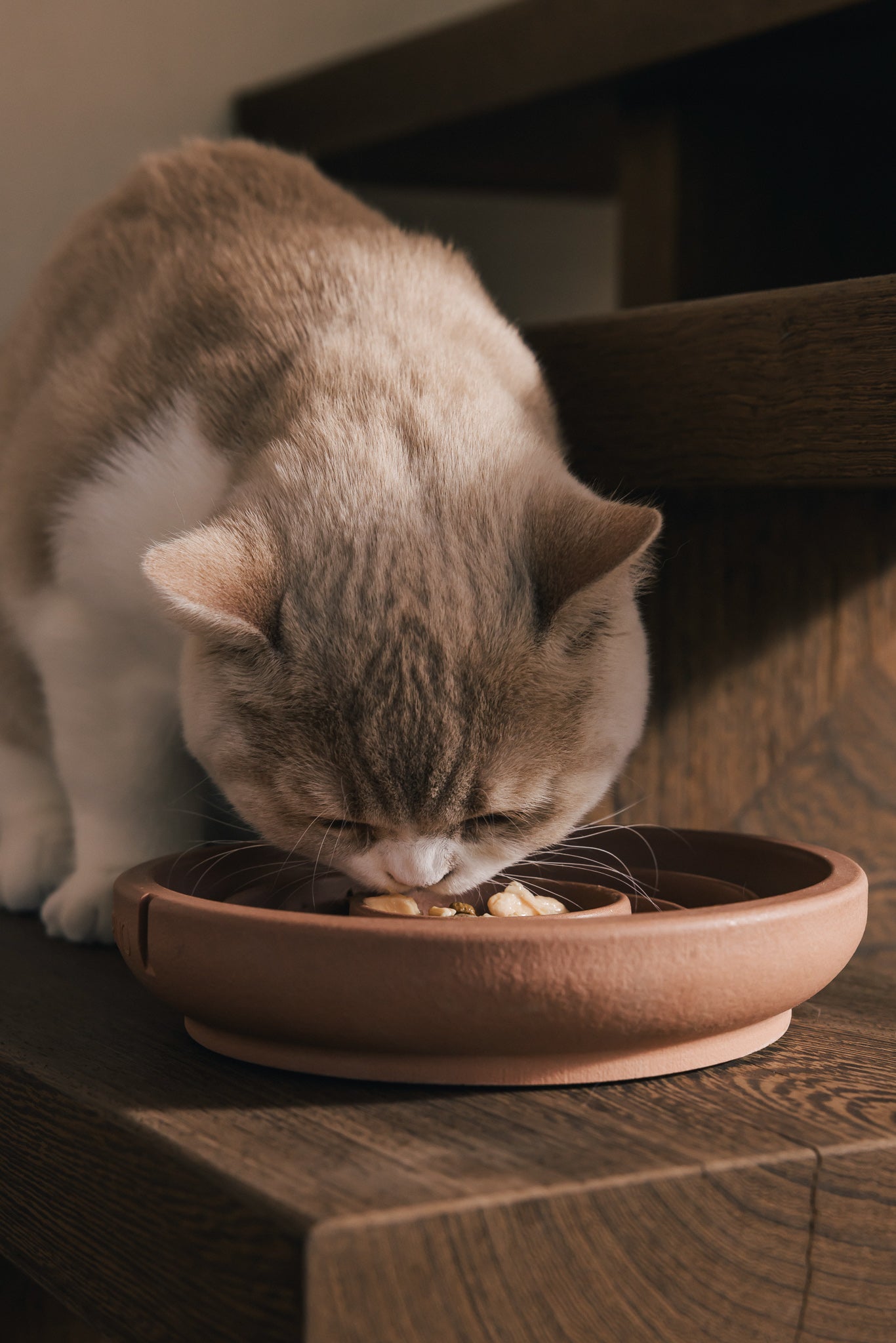 Slow Feeder Bowl for Cats
