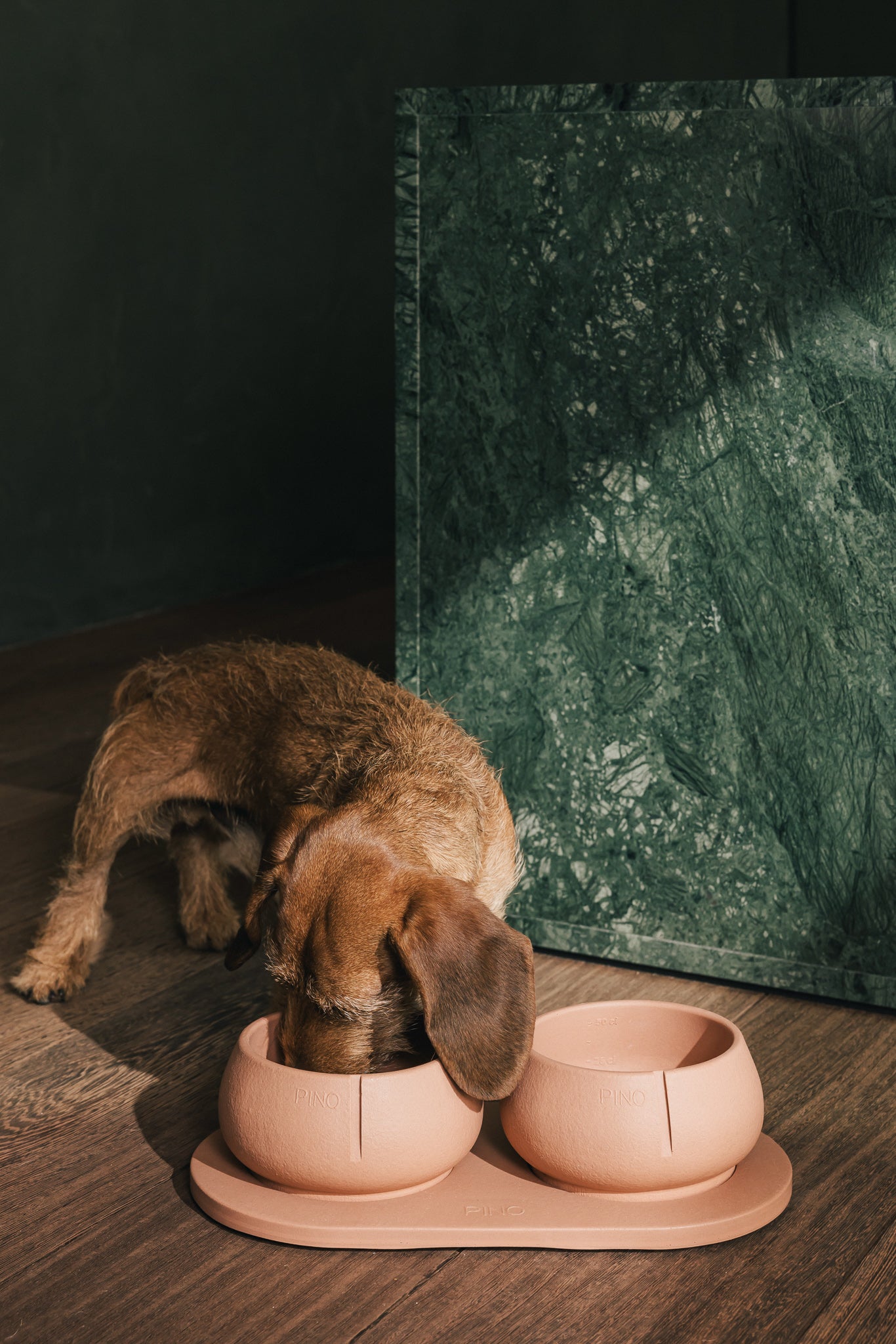 Long Ears Bowl