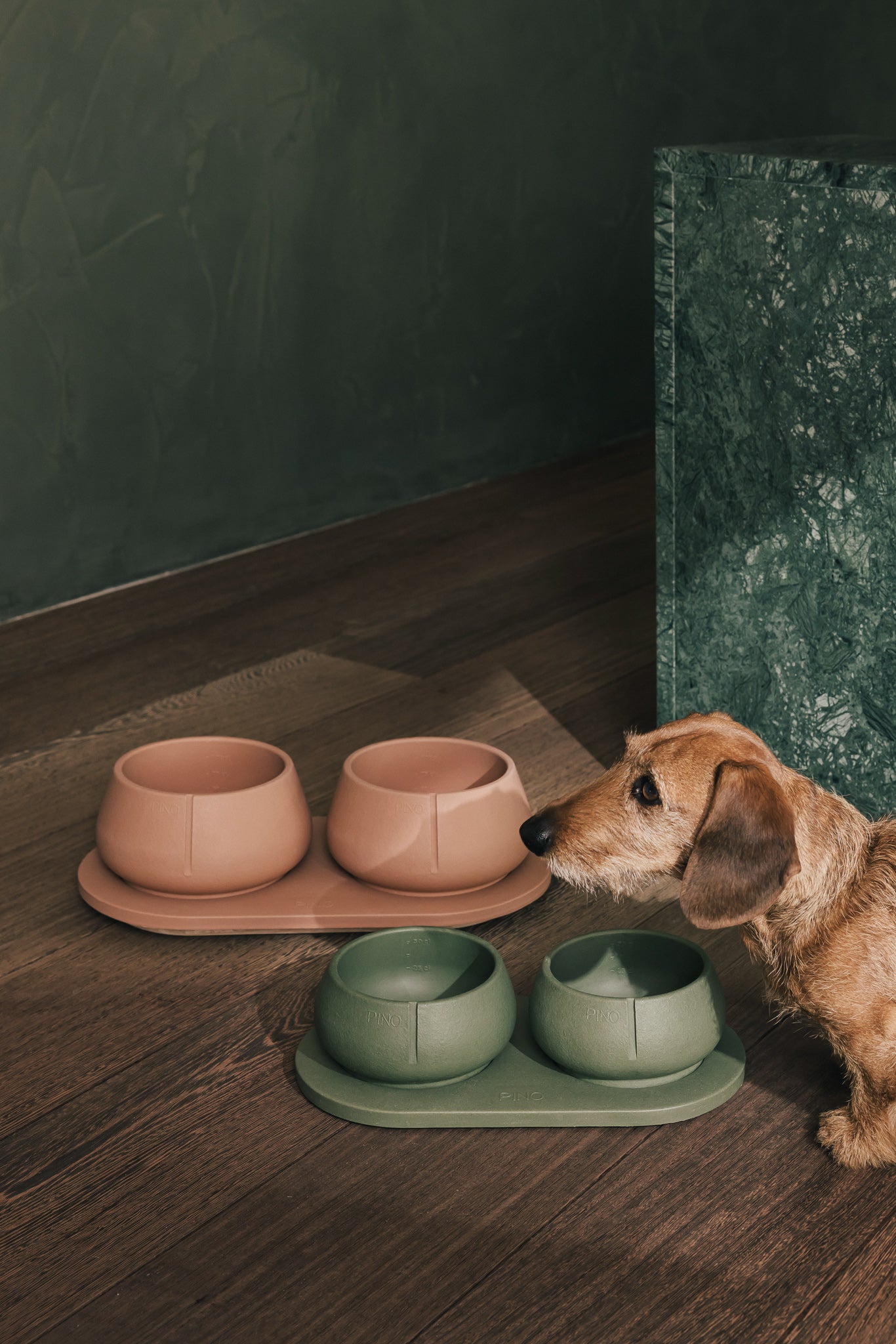 Long Ears Bowl