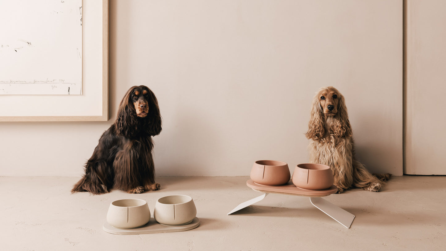 Long Ears Bowl