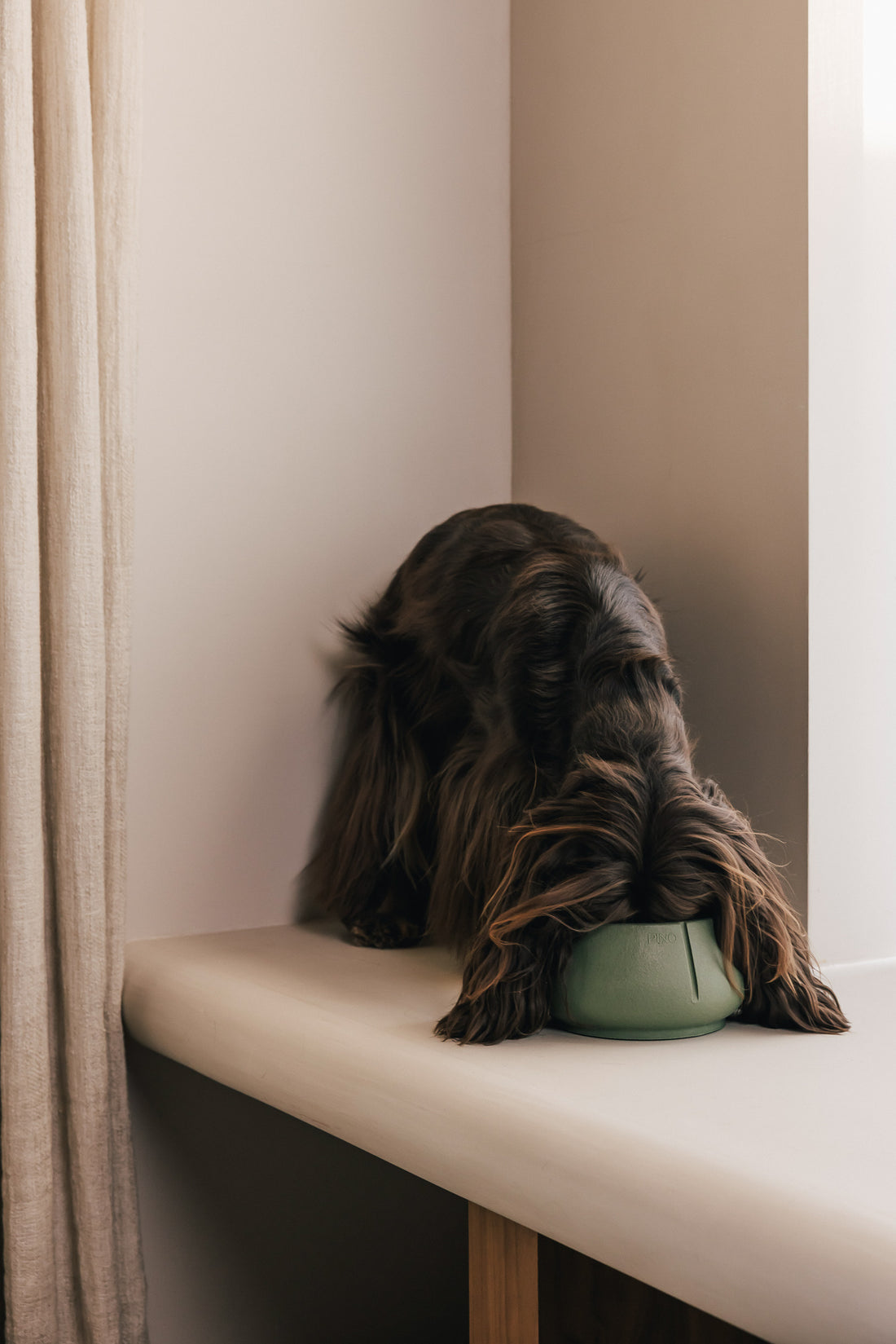 Lange Oren Voerbak (B-Stock)