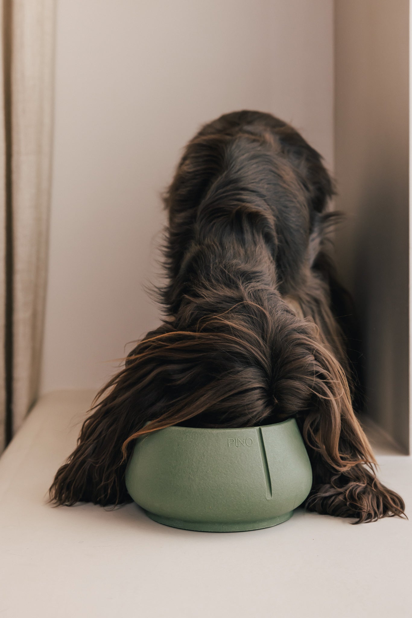 Long Ears Bowl