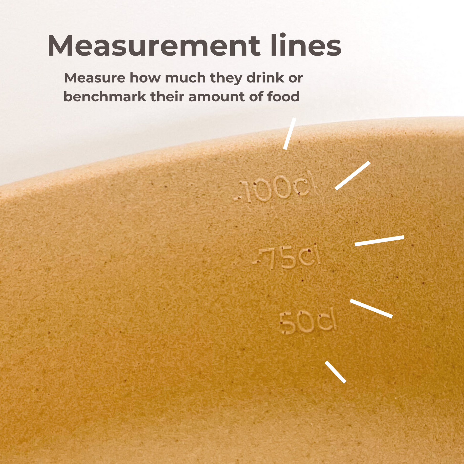 The measurement lins in the bowl