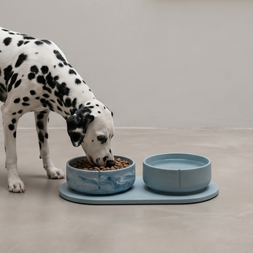 Classic Bowl (Bluebird Limited Edition)