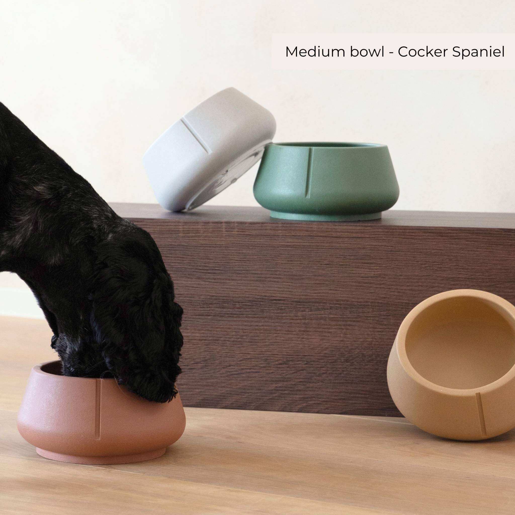 Lange Oren Bowl - 2024 Collectie