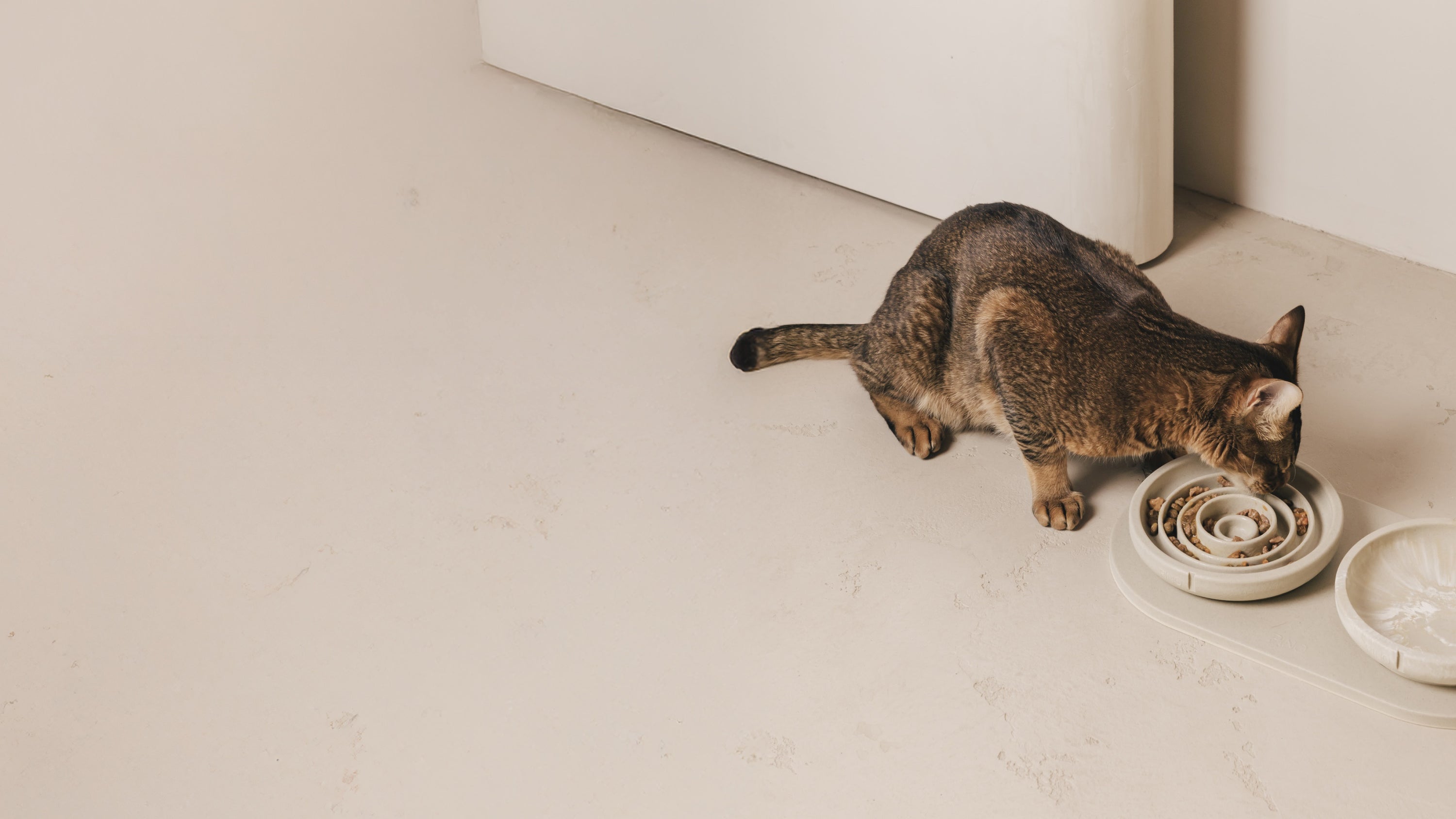 VOERBAKKEN MÉT COMFORT <br>VOOR UW