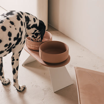 Perfecte Houding Bundel voor Honden