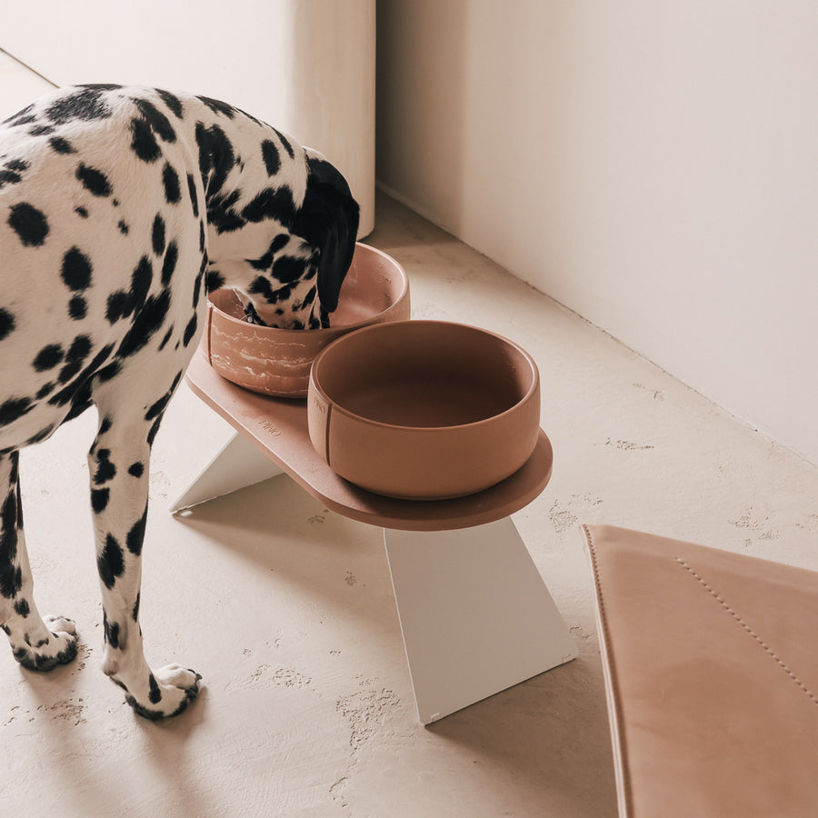 Perfecte Houding Bundel voor Honden