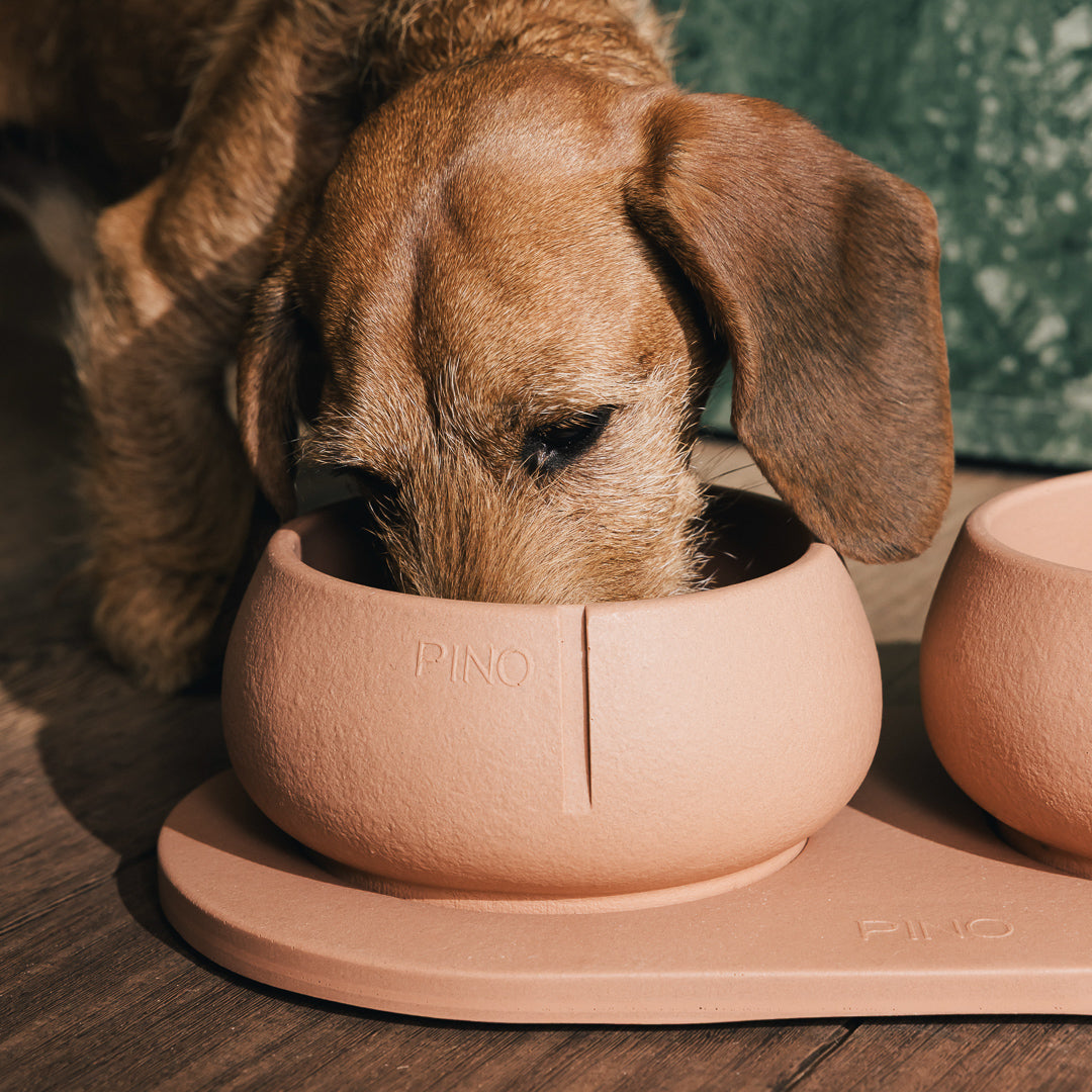 Lange Oren Bowl