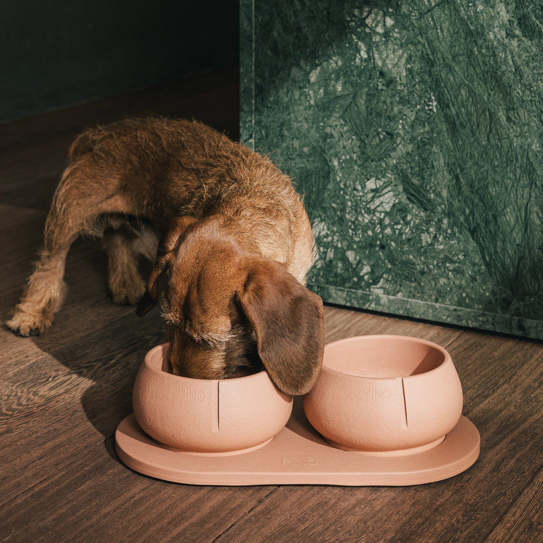 Lange Oren Bowl