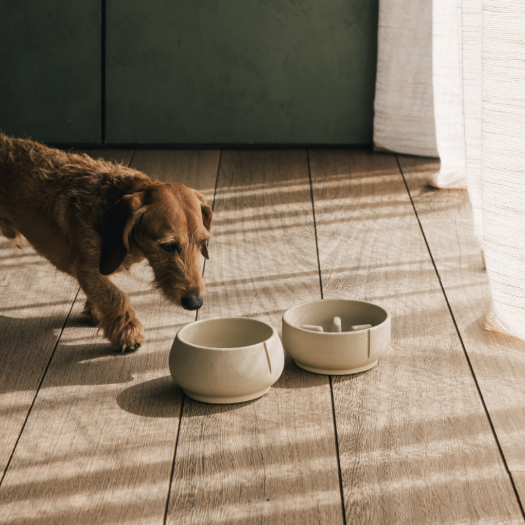 Voederbakken mét comfort voor uw dier