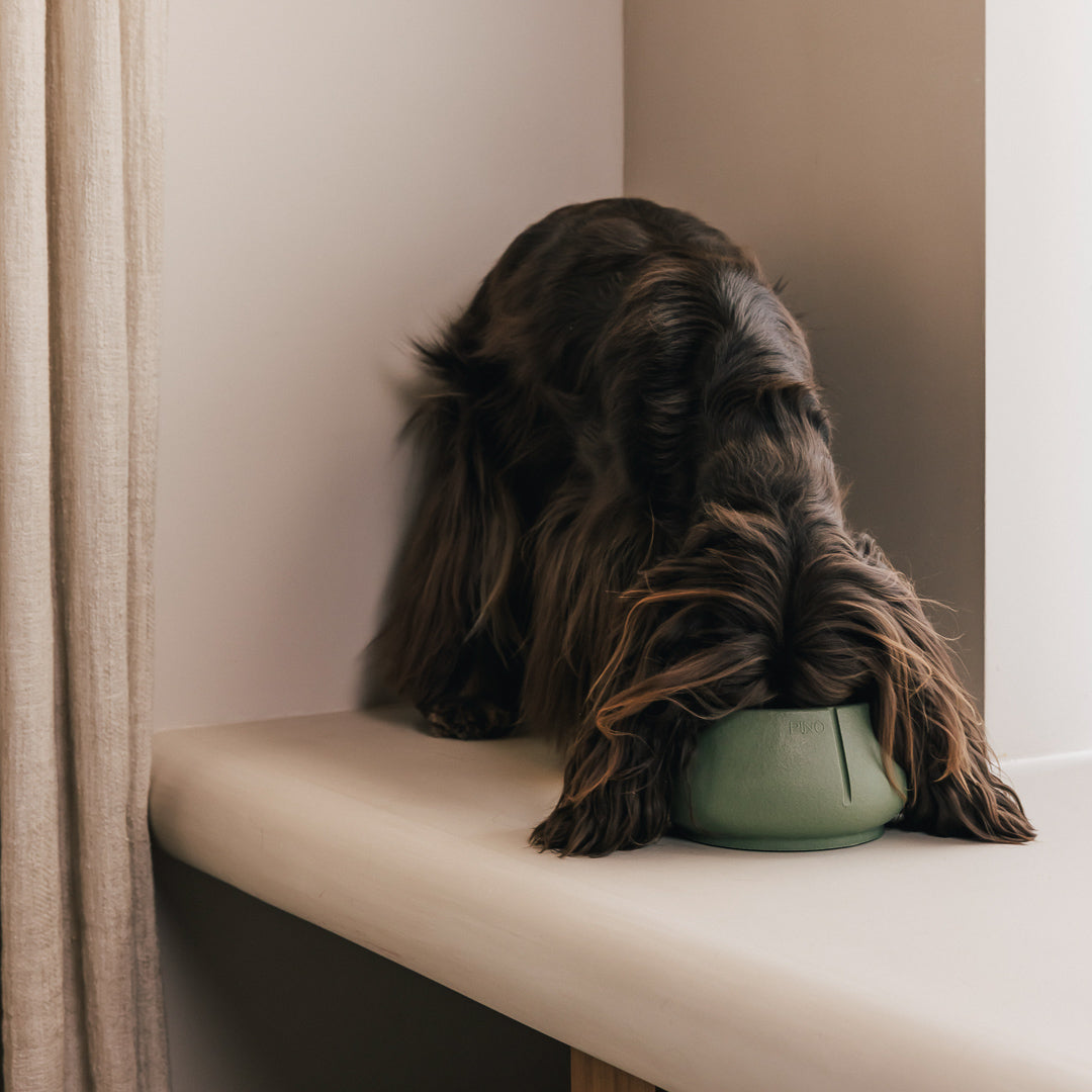 Lange Oren Bowl