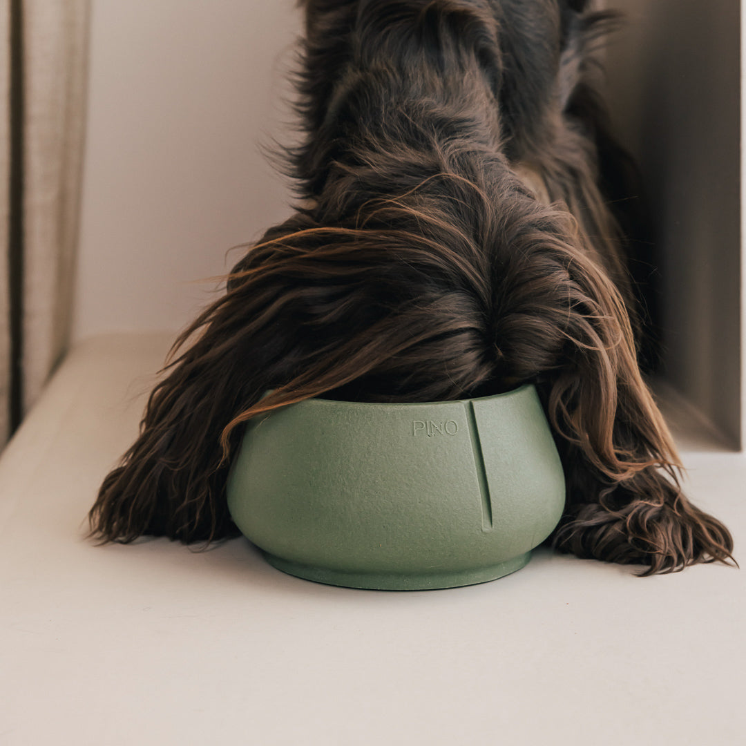 Lange Oren Bowl