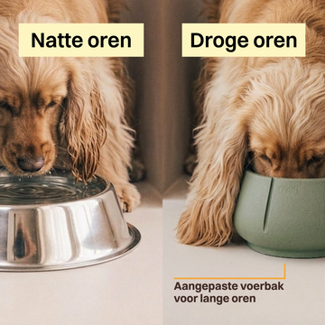 Lange Oren Voerbak