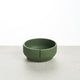 Crocodile Green