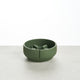 Crocodile Green