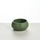 Crocodile Green