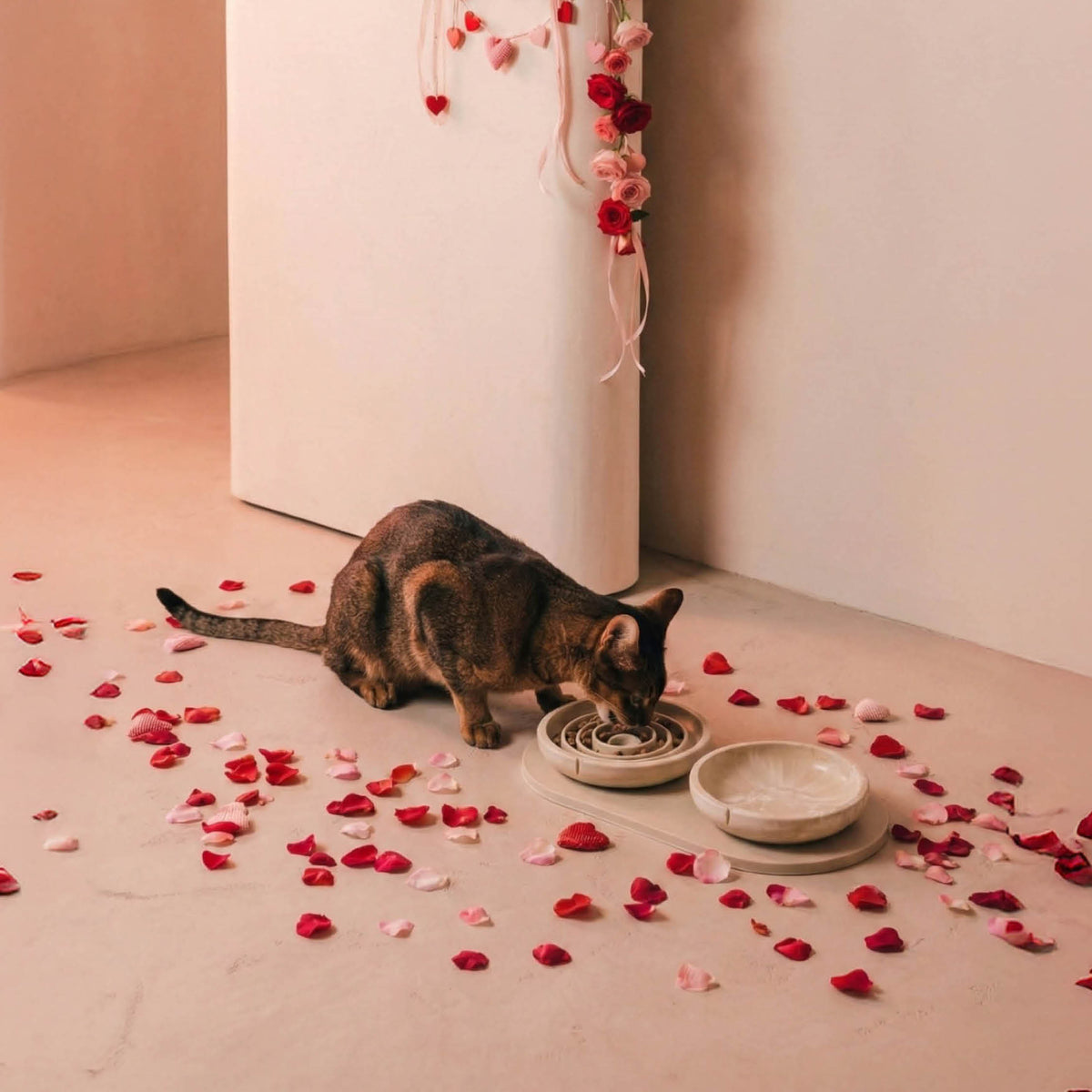 Liefde is geen speeltje. Het is het comfort dat je