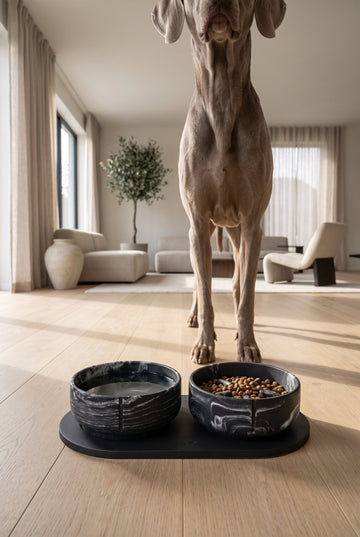 Black Panther bowl set on tray with weimaraner