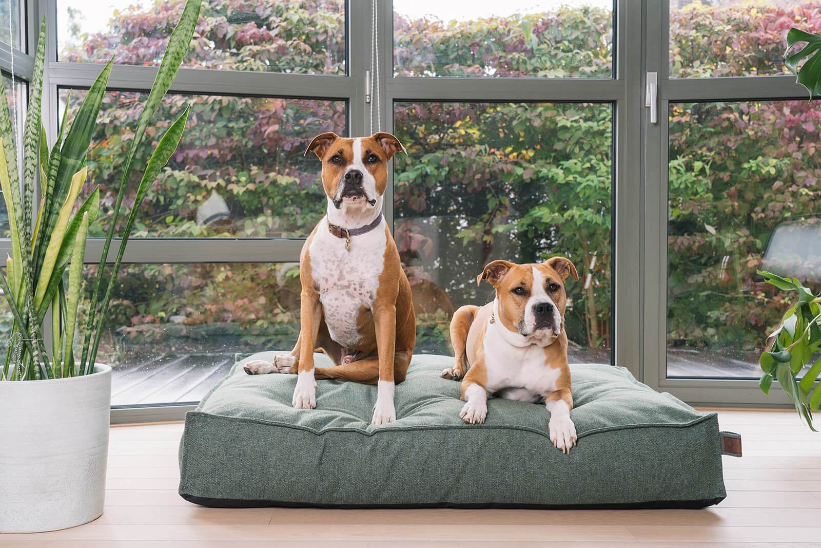 Botanical Green Dog Bed