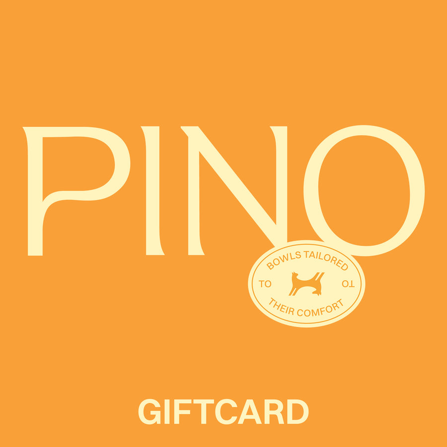 PINO Cadeaubon