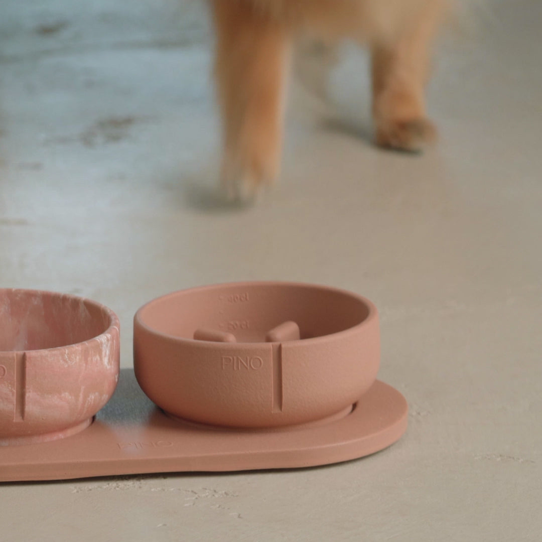 Anti Schrok Bowl