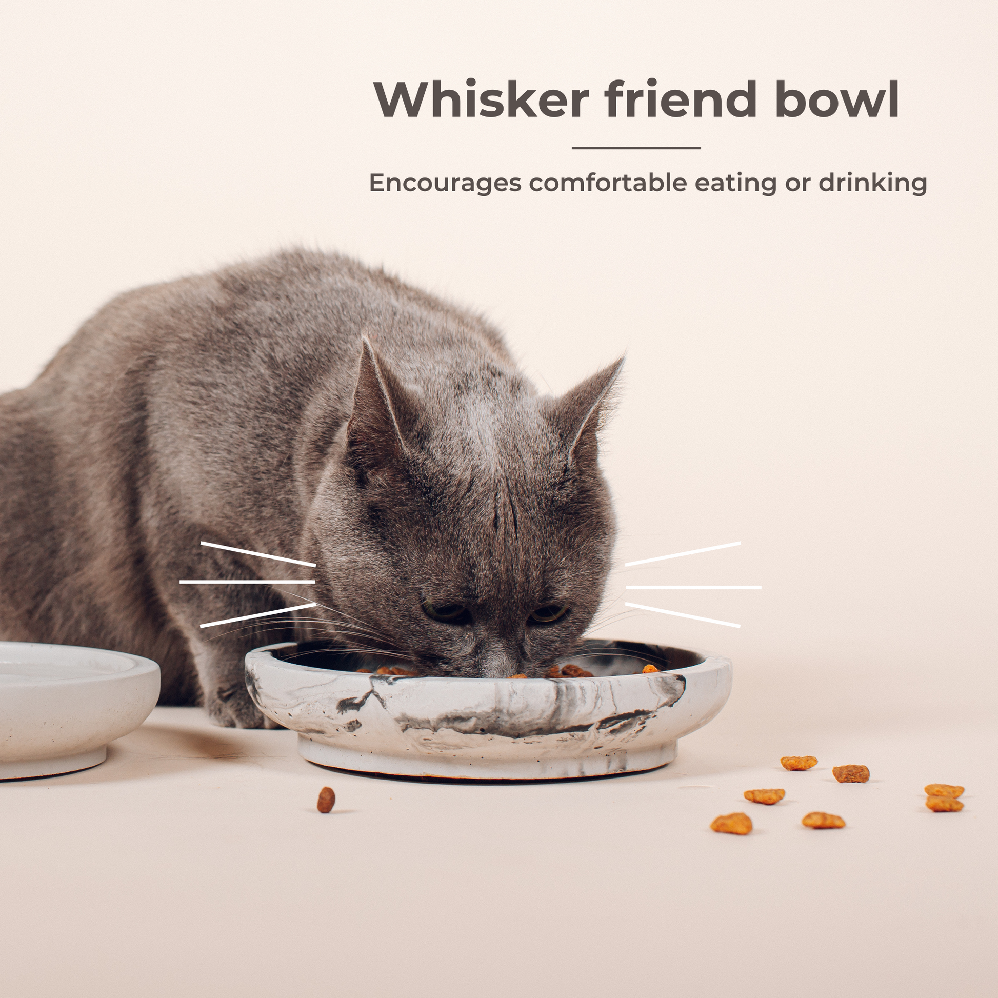 Explanation of how the whisker-friendly bowl works